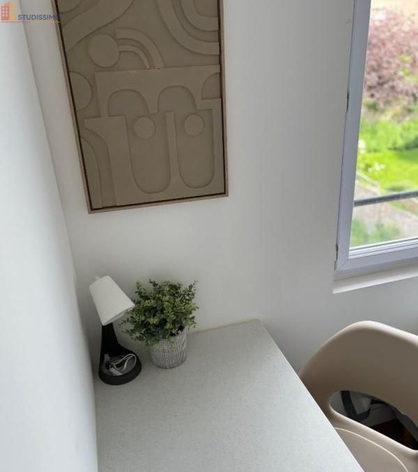 Studio 16m² Brest 29200 - Meublé - Photo 2