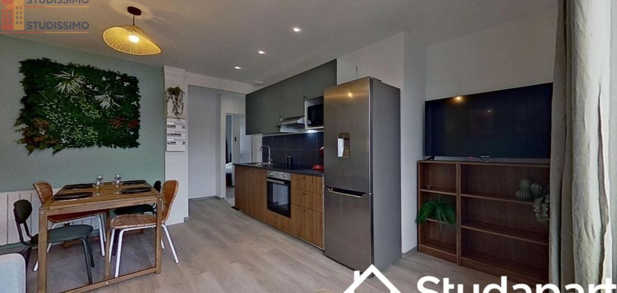Studio 55m² Brest 29200 - Meublé, DPE A - Photo 6