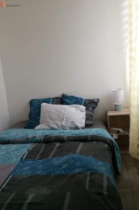 Studio 19m² Carhaix-Plouguer - Meublé, DPE D - Photo 3