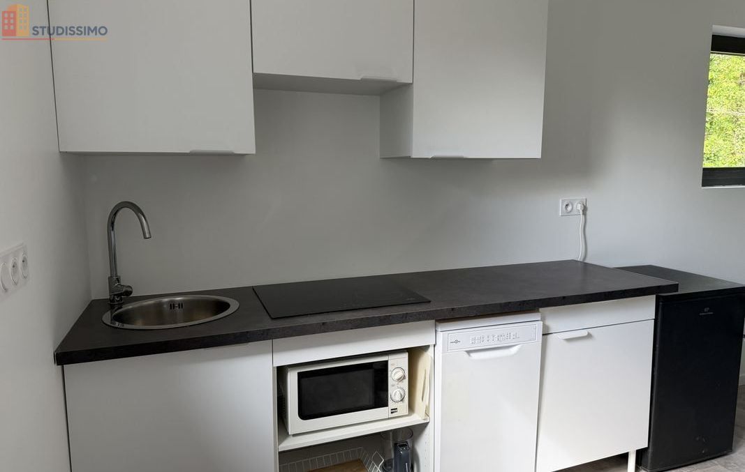 Studio 25m² Plomeur 29120 - Meublé, DPE C - Photo 11