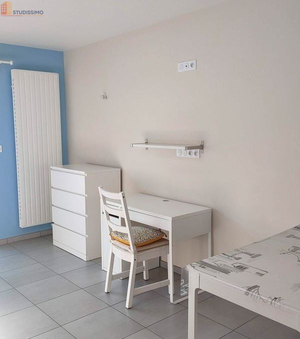 Studio meublé 35m² Telgruc-sur-Mer - Meublé, charges comprises - Photo 16