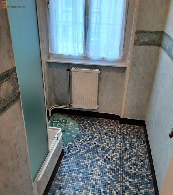 Studio meublé 22m² Brest 29200 - Idéal étudiant, meublé - Photo 1