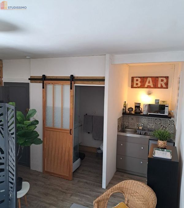 Studio meublé 25m² Carantec - Proche plage, lumineux - Photo 7