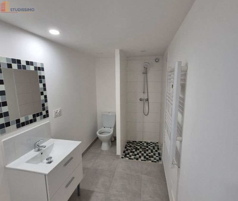 Studio 31m² Brouzet-lès-Quissac - DPE B - Photo 1