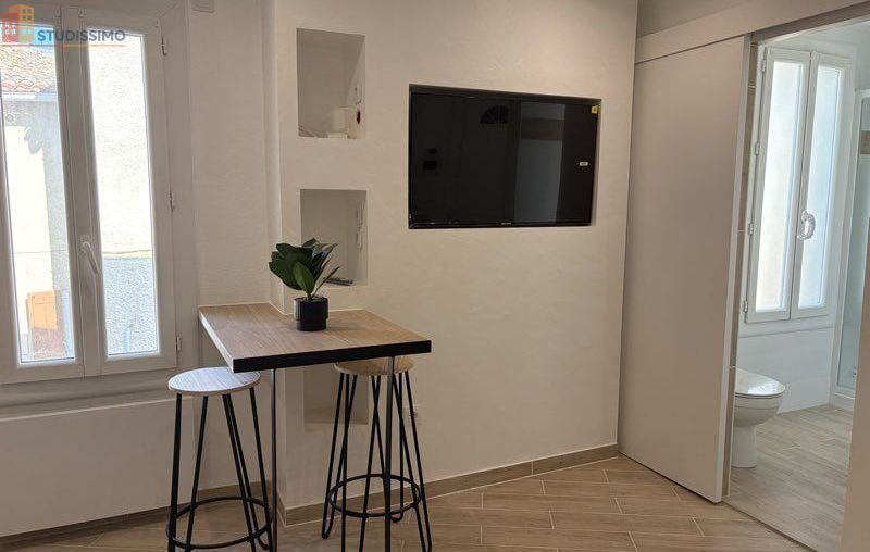 Studio meublé 20m² Aubais - Refait à neuf, proche commerces - Photo 4