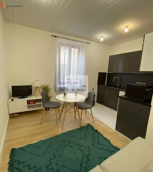 Studio meublé 19m² Pont-Saint-Esprit - Meublé, 1er étage - Photo 10