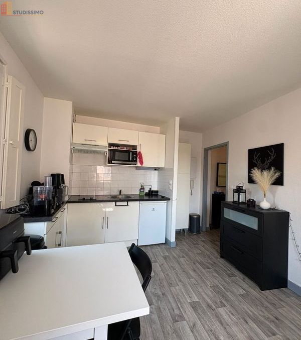 Studio meublé 30m² Toulouse 31400 - Lumineux, 3e étage - Photo 3