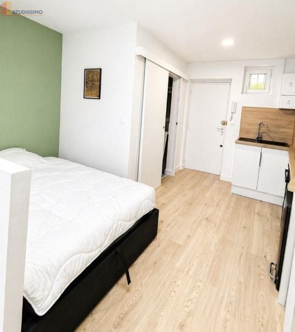 Studio 20m² Toulouse 31200 - Meublé, DPE D - Photo 3