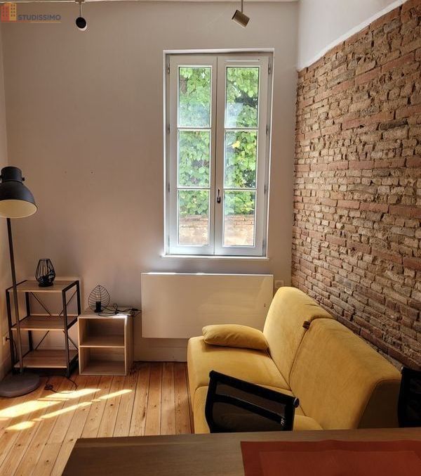Studio meublé 22m² Toulouse centre - Hyper centre, proche place St Étienne - Photo 1