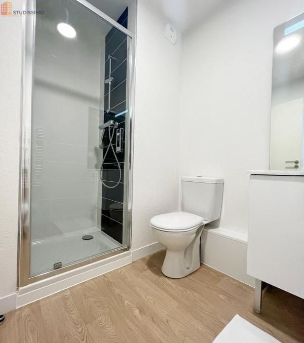 Studio meublé 21m² Toulouse 31200 - Meublé, DPE B - Photo 6