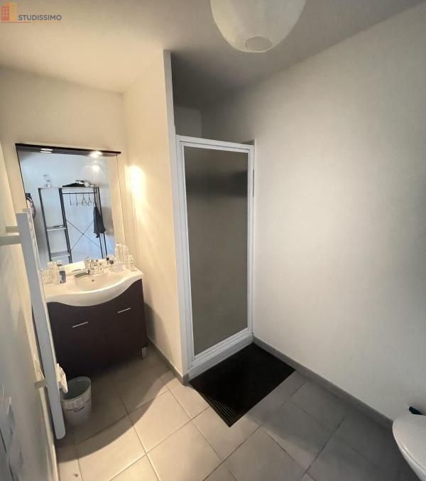 Studio 27m² Toulouse 31200 - DPE B - Photo 3