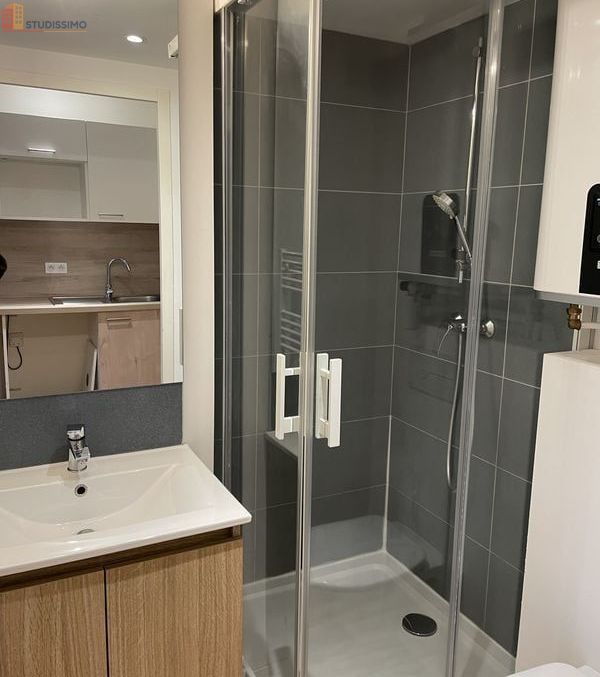 Studio 20m² Toulouse 31400 - Photo 1