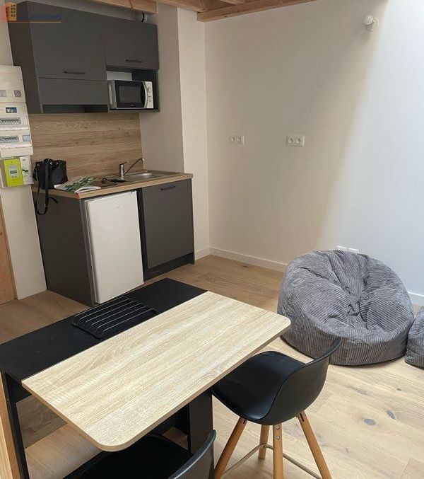 Studio meublé 20m² Toulouse 31000 - Mezzanine, lumineux - Photo 1
