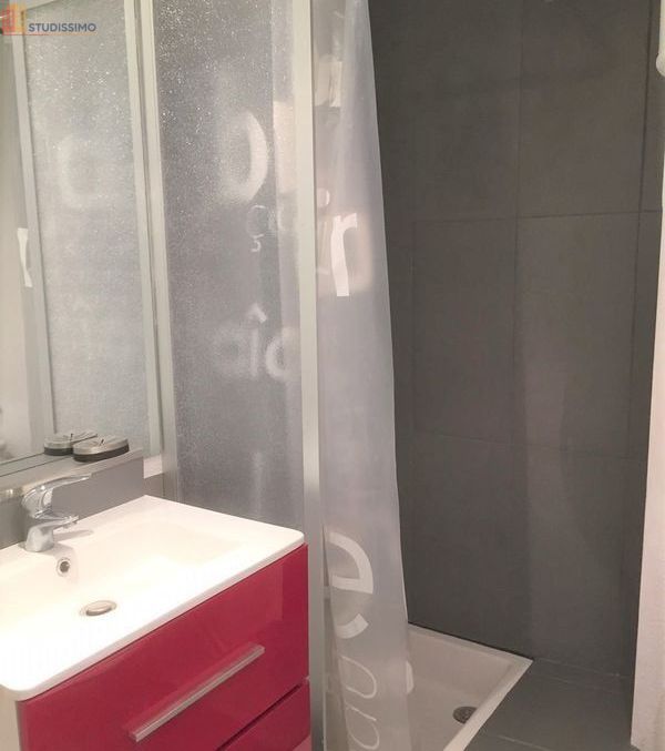 Studio meublé 21m² Toulouse centre - Résidence étudiante - Photo 1