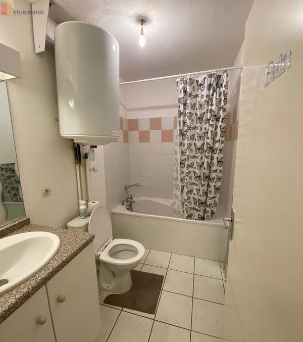 Studio meublé 25m² Toulouse 31200 - Meublé, DPE C - Photo 2