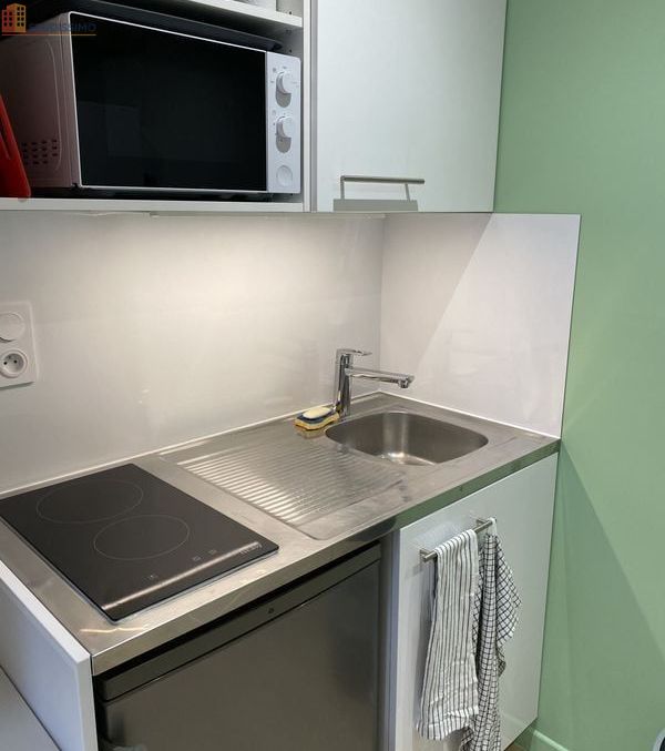 Studio meublé 18m² Toulouse 31000 - Meublé, DPE C - Photo 2