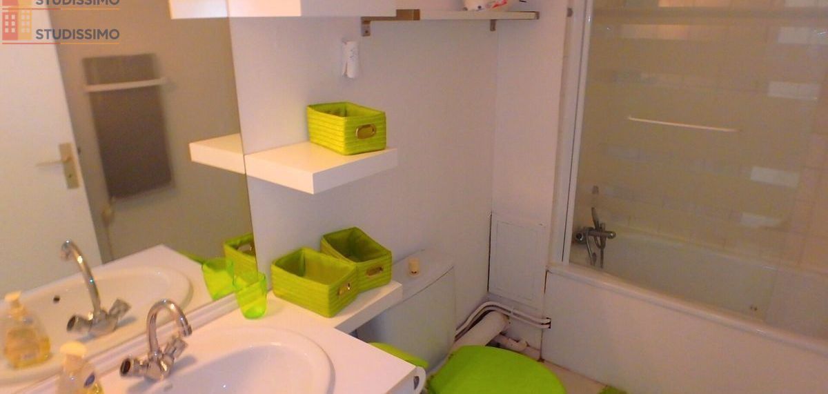 Studio 23m² Toulouse 31400 - Photo 4