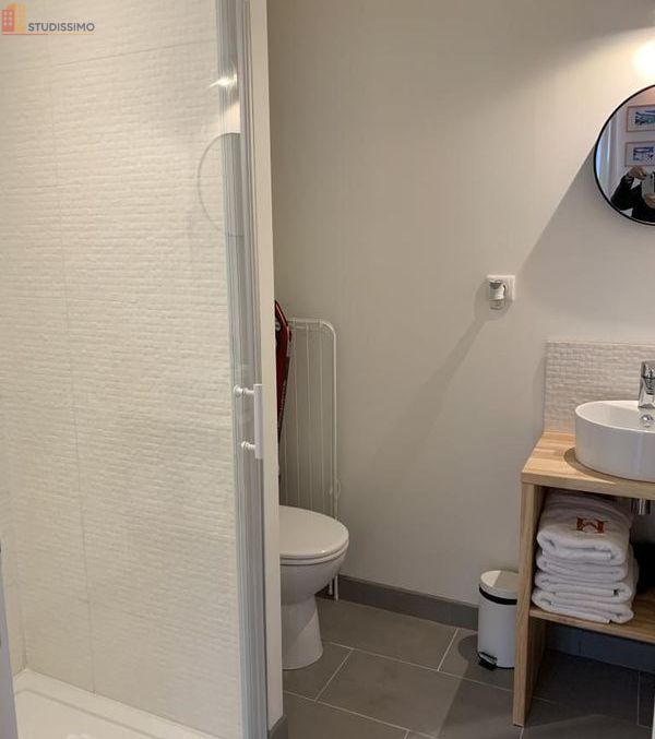 Studio meublé 23m² Toulouse 31000 - Meublé, DPE B - Photo 3