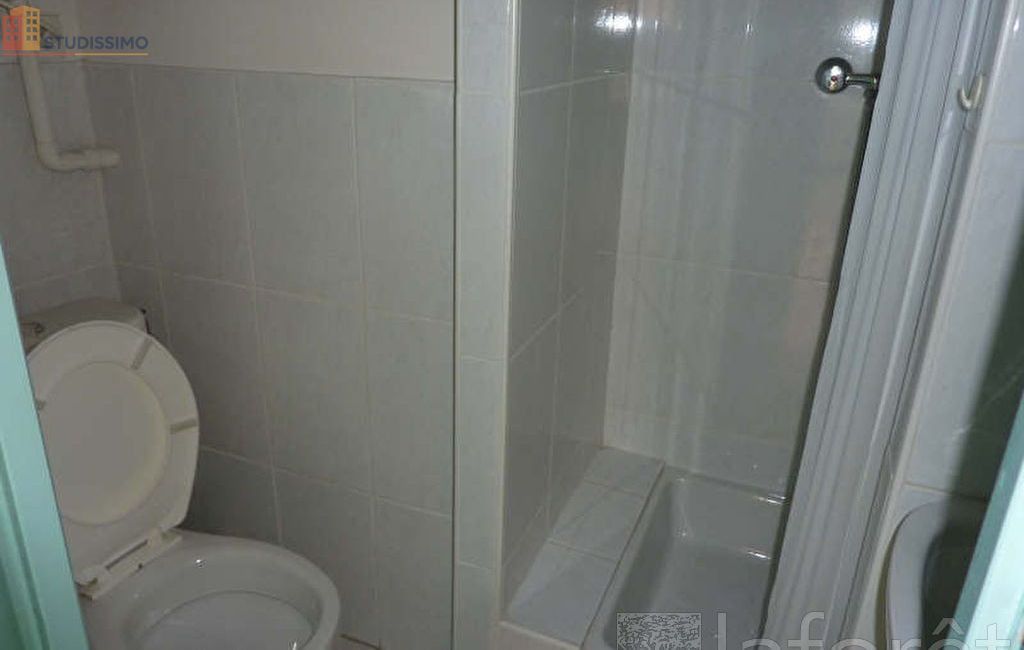 Studio meublé 20m² Villemur-sur-Tarn - Meublé, DPE C - Photo 1