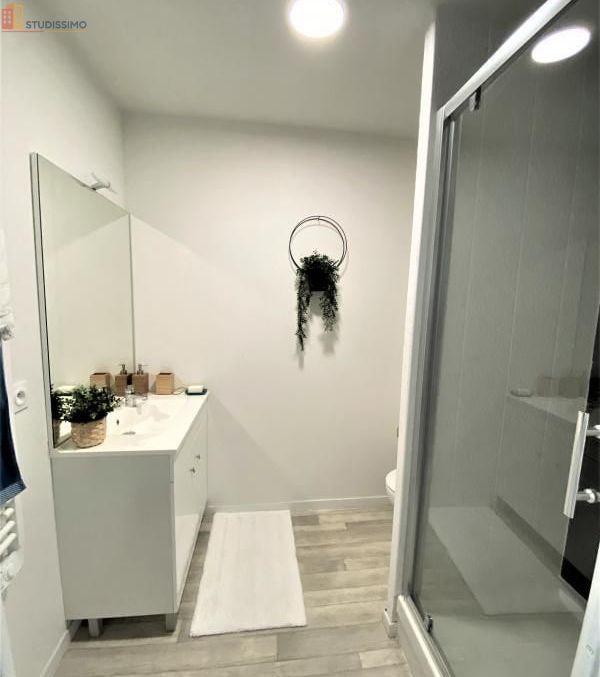 Studio meublé 22m² Toulouse 31200 - Meublé, DPE C - Photo 29