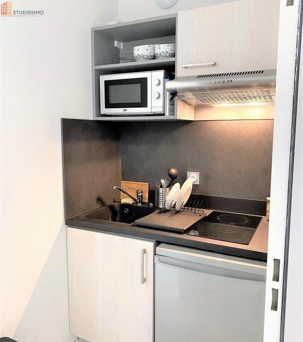 Studio meublé 22m² Toulouse 31200 - Meublé, DPE C - Photo 28
