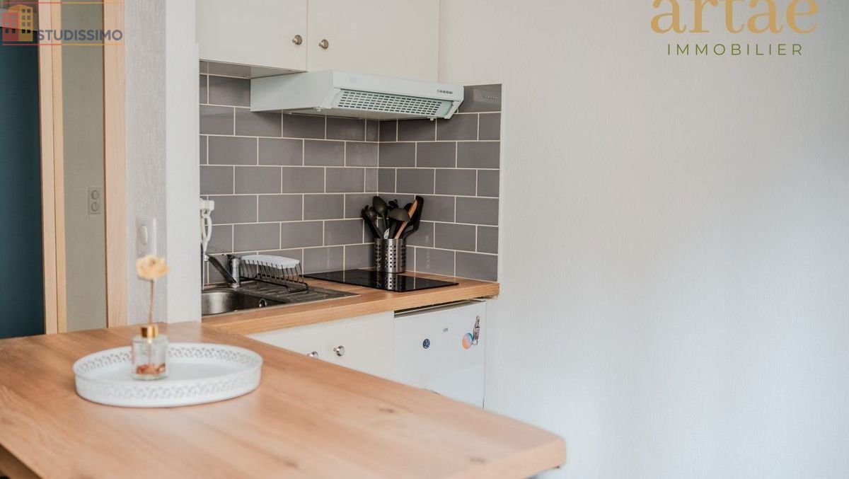 Studio meublé 27m² Toulouse 31000 - Meublé, DPE D - Photo 13