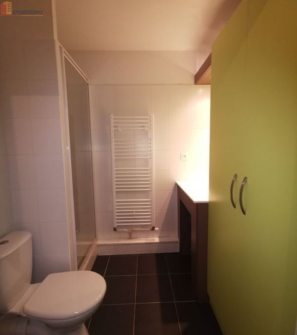 Studio 24m² Toulouse Montaudran - Meublé, lumineux - Photo 4