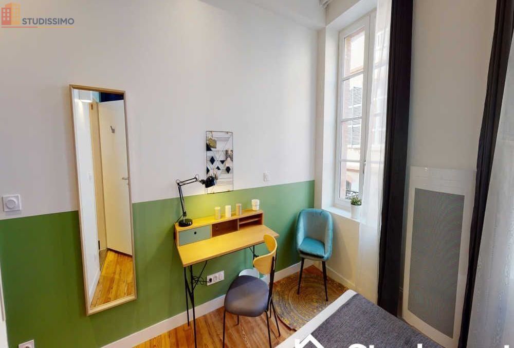 Studio meublé 13m² Toulouse 31000 - Meublé, lumineux - Photo 10