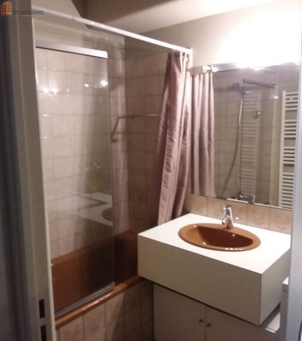 Studio meublé 27m² Toulouse 31000 - Meublé, 1er étage - Photo 8