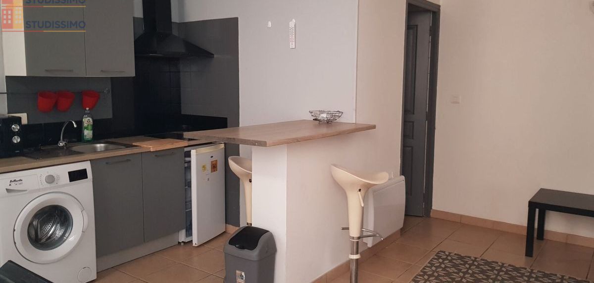 Studio 19m² Villemur-sur-Tarn - 1 pièce - Photo 2