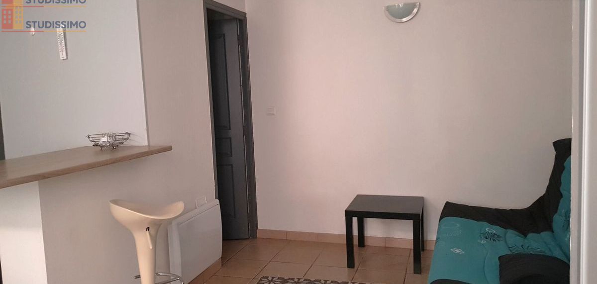 Studio 19m² Villemur-sur-Tarn - 1 pièce - Photo 4