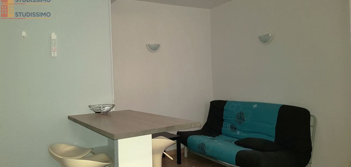 Studio 19m² Villemur-sur-Tarn - 1 pièce - Photo 1
