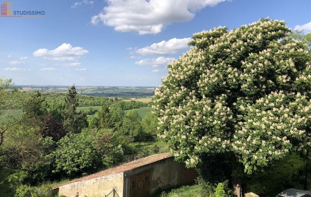Studio 27m² Saint-Félix-Lauragais - DPE C - Photo 6