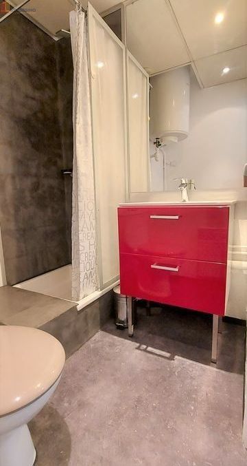 Studio meublé 21m² Toulouse centre - Résidence étudiante, proche Pont des Catalans - Photo 1