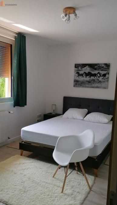 Studio meublé 11m² Pechbusque - Meublé, DPE C - Photo 4