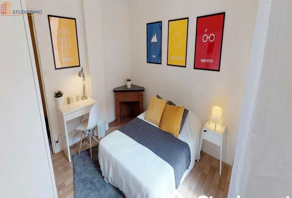 Studio meublé 13m² Toulouse centre - Meublé, 2e étage - Photo 20
