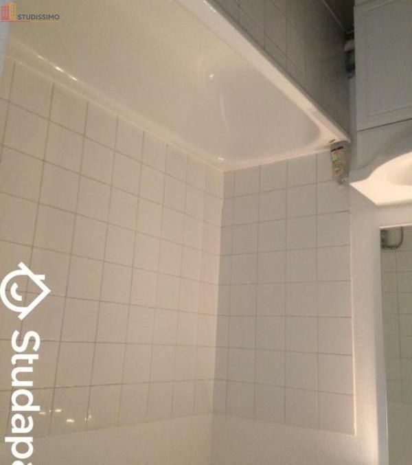 Studio 25m² Toulouse 31500 - Étage élevé, DPE D - Photo 1