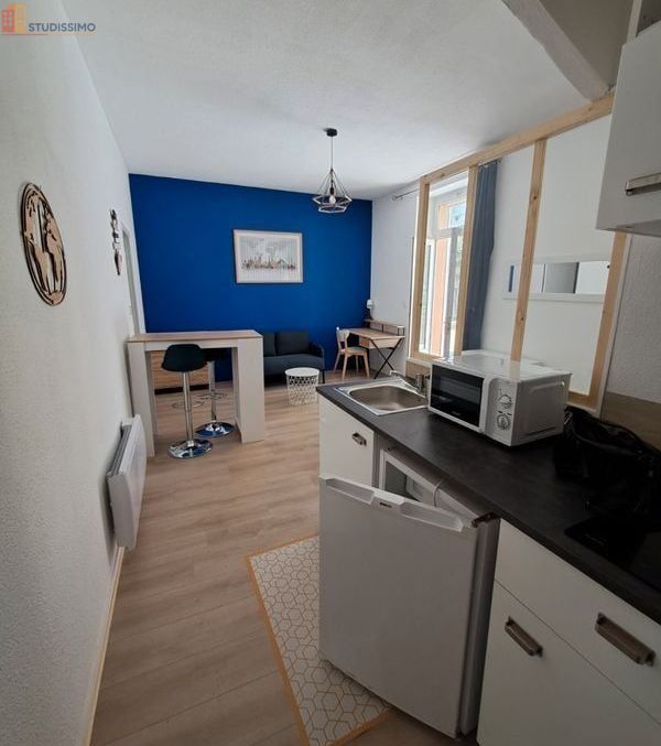 Studio 25m² Toulouse St-Cyprien - Meublé, proche commodités - Photo 8