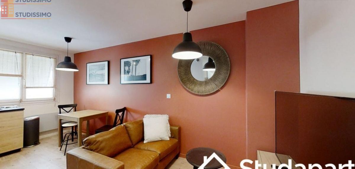 Studio meublé 10m² Toulouse 31200 - Lumineux - Photo 13