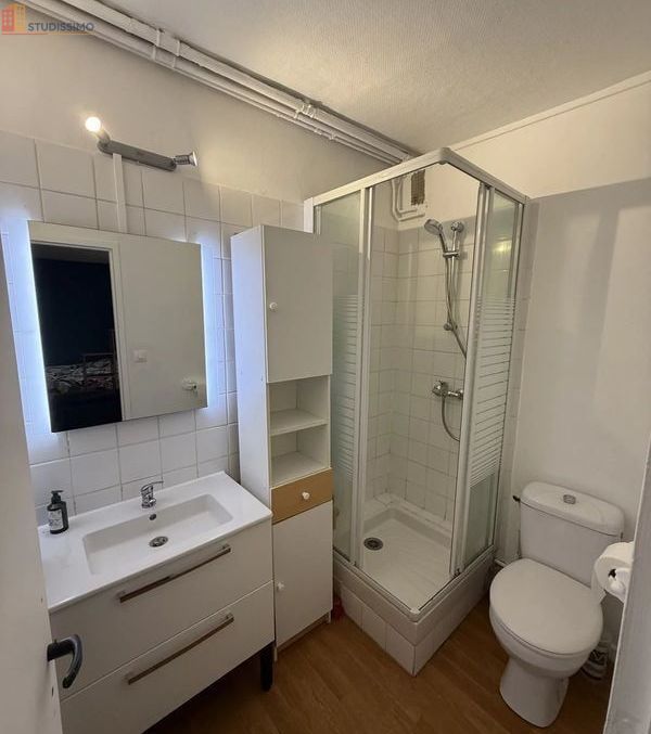 Studio meublé 26m² Toulouse 31500 - Meublé, DPE D - Photo 1