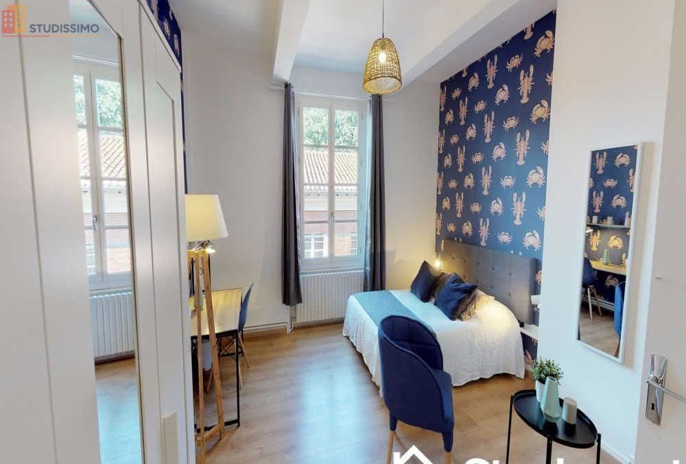 Studio 17m² Toulouse centre - Meublé, lumineux - Photo 14