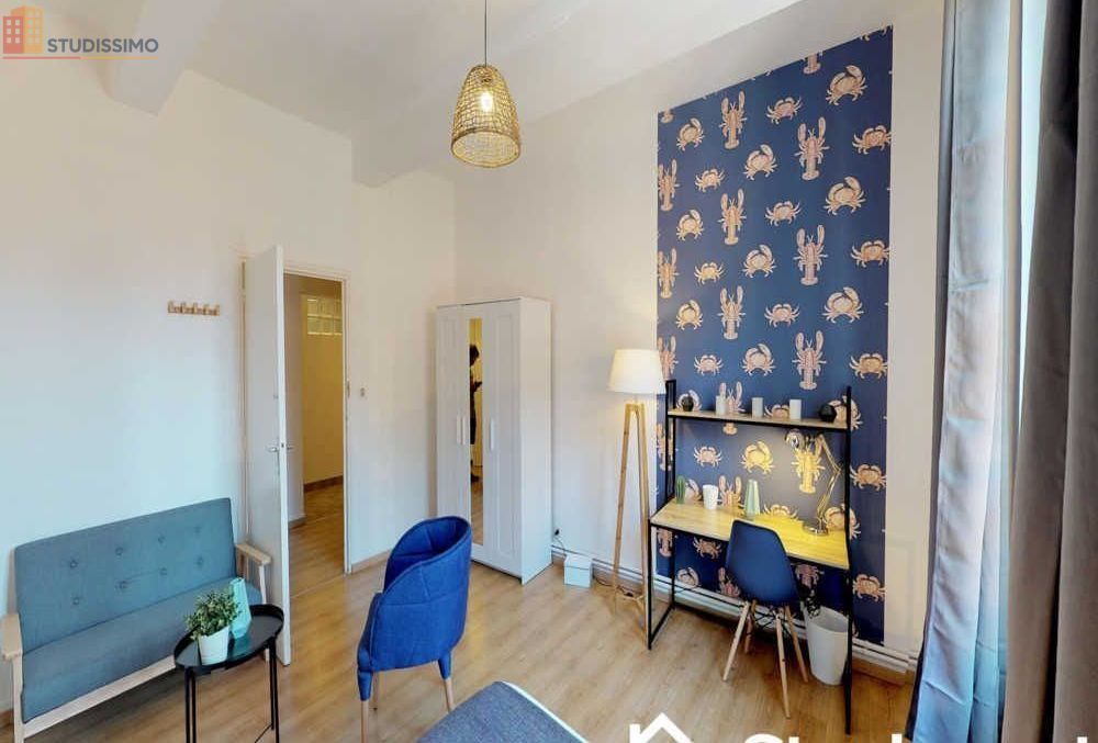 Studio 17m² Toulouse centre - Meublé, lumineux - Photo 15