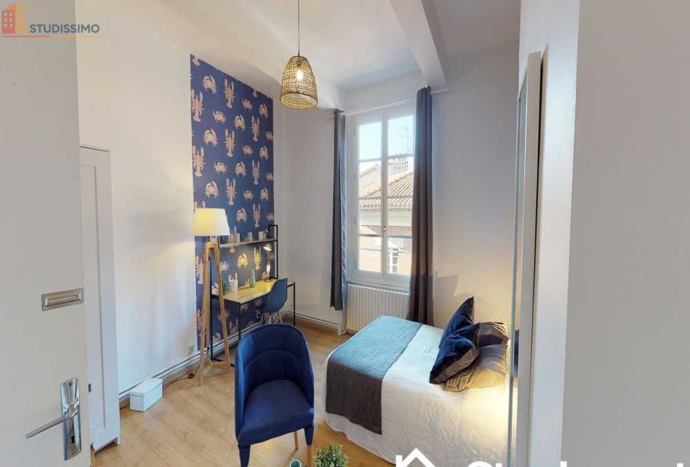 Studio 17m² Toulouse centre - Meublé, lumineux - Photo 9