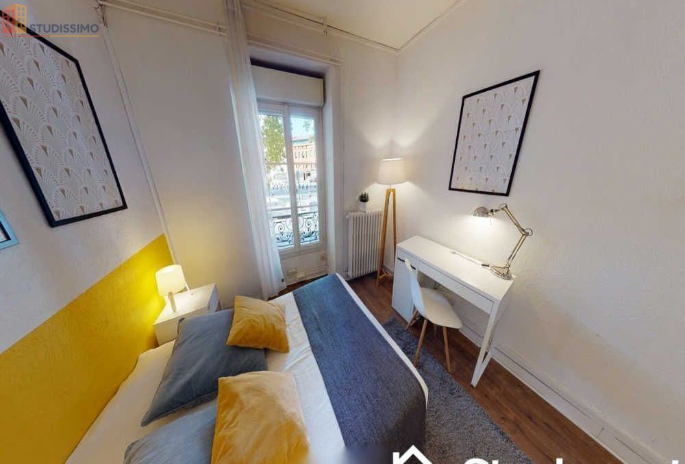 Studio meublé 11m² Toulouse centre - Meublé, DPE D - Photo 19