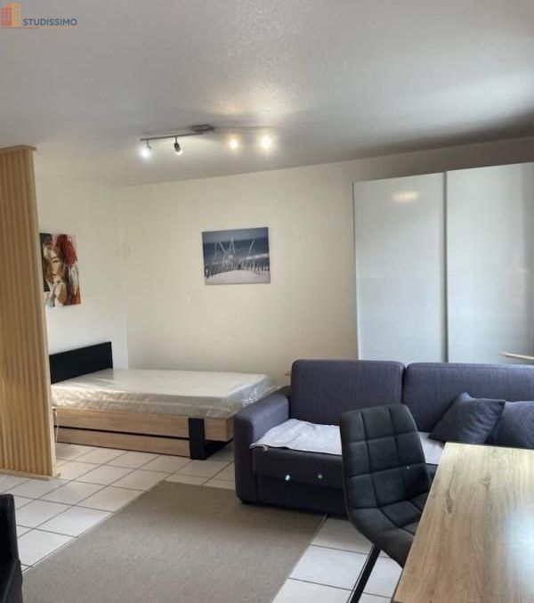 Studio meublé 31m² Toulouse 31400 - Étage 2, DPE D - Photo 1