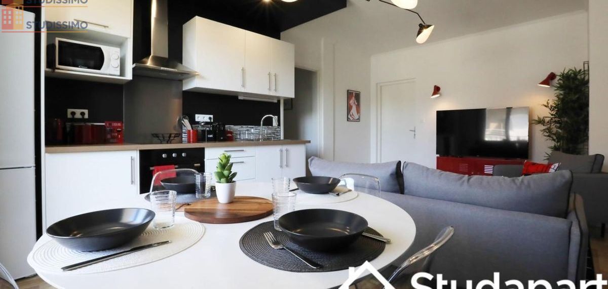 Studio meublé 12m² Toulouse 31400 - Meublé, DPE A - Photo 11