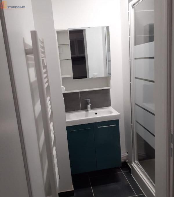 Studio meublé 11m² Toulouse 31300 - Meublé, 2e étage - Photo 4