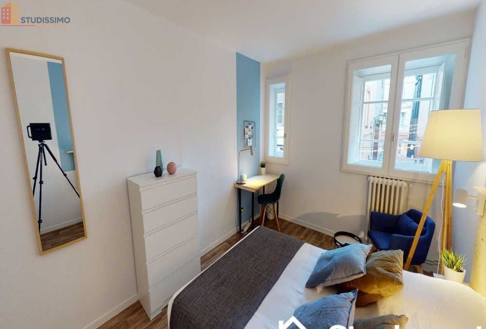 Studio meublé 10m² Toulouse centre - Calme, lumineux - Photo 8