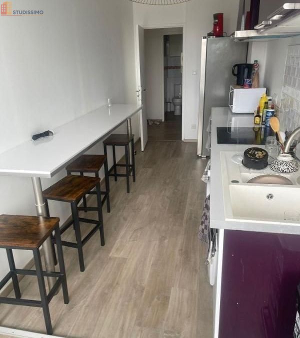 Studio meublé 11m² Toulouse 31500 - Meublé, 4e étage - Photo 12