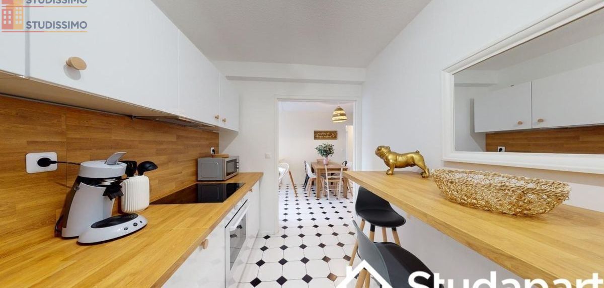 Studio meublé 13m² Toulouse 31500 - Meublé - Photo 7